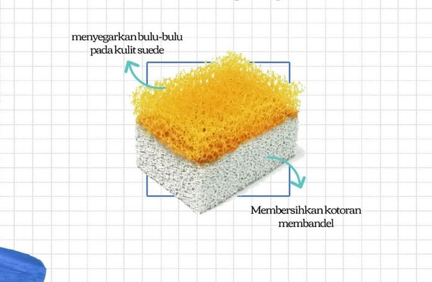 membersihkan sepatu suede