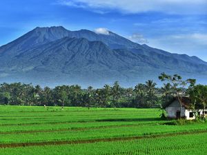 Kenapa Abu Vulkanik Berbahaya bagi Pesawat? Sejarahnya Bermula dari Letusan Ini