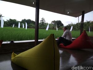 Kafe Ini Cocok Buat Healing, Bisa Ngopi di Tengah Sawah Kafe Ini Cocok Buat Healing, Bisa Ngopi di Tengah Sawah