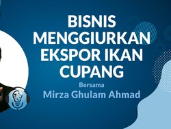 Gelimang Uang Dari Ekspor Cupang