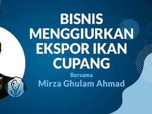 Gelimang Uang Dari Ekspor Cupang Gelimang Uang Dari Ekspor Cupang