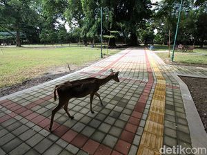 Tempat Wisata Balekambang di Solo Mulai Dibuka Lagi