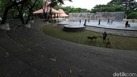 Asrinya Taman Balekambang Solo Usai Direnovasi