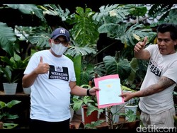 Cerita Warga Garut yang Barter Tanaman Hias dengan Rumah Rp 500 Juta