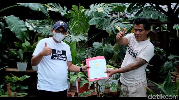 Warga Garut Ini Barter Tanaman dengan Rumah Rp 500 Juta Lho