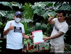 Kagetnya Penjual Tanaman di Depok Saat Koleksinya Dibarter Rumah Rp 500 Juta