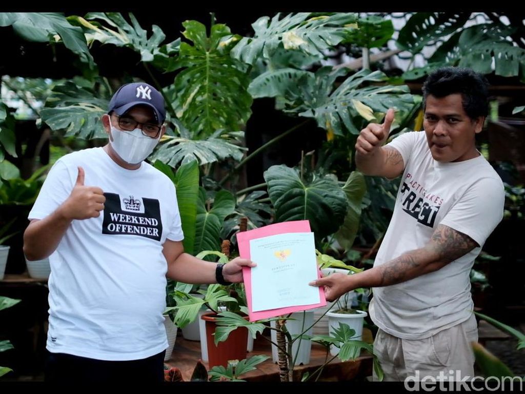 Kagetnya Penjual Tanaman di Depok Saat Koleksinya Dibarter Rumah Rp 500 Juta Kagetnya Penjual Tanaman di Depok Saat Koleksinya Dibarter Rumah Rp 500 Juta