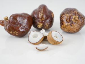 Mengenal Buah Zuriat dan 12 Manfaatnya bagi Kesehatan Mengenal Buah Zuriat dan 12 Manfaatnya bagi Kesehatan