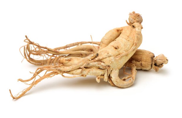 Ginseng / foto: istockphoto.com Ginseng / foto: istockphoto.com