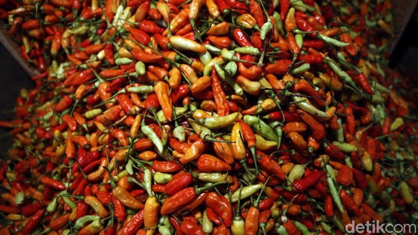 Harga Cabai Makin Ganas di Pasar Kramat Jati Harga cabai di Pasar Kramat Jati, Jakarta Timur, masih ganas, Rabu (13/01/2021). Cabai rawit merah merah dibandrol Rp 75 ribu//Kg.