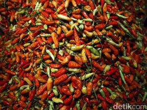 Apa Sih yang Bikin Harga Cabai Rawit Merah dan Telur Mahal Banget?