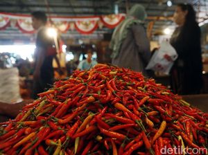 Biang Kerok Cabai Rawit Mahal: Tanaman Rusak-Stok Tipis