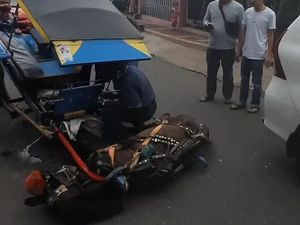 Viral! Diduga Kelelahan Kuda Terjatuh-Tergeletak di Tengah Jalan Cianjur