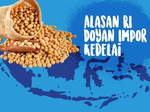 Alasan RI Doyan Impor Kedelai
