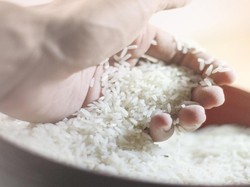 Kemendag Buka Suara Soal Rembes Beras Vietnam: Kemungkinan Dioplos