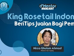 Tips Jualan Ikan Cupang Bagi Pemula