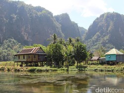 Lukisan Gua Tertua di Dunia Ditemukan di Sulsel, Umurnya 45 Ribu Tahun!