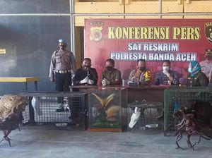Polisi Sita Koleksi Cenderawasih-Jaguar Awetan di Rumah Bandar 200 Kg Sabu
