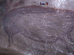 Lukisan Gua Tertua di Dunia di Sulawesi Rusak karena Perubahan Iklim