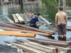 Polhut Amankan 51 Kayu di Jambi, Diduga Hasil Pembalakan Hutan Lindung