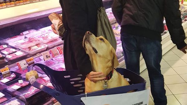 Potret Solusi dari Masalah Sehari-hari, Simpel tapi Berguna (2)