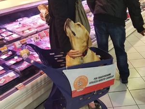 Potret Solusi dari Masalah Sehari-hari, Simpel tapi Berguna (2)