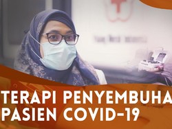PMI Butuh Donor Plasma Konvalesen, Ini Syaratnya