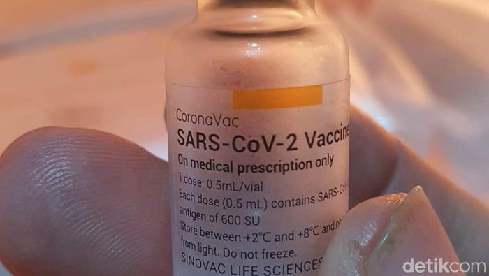 Vaksin COVID-19 buatan Sinovac (Esti Widiyana/detikcom)