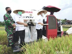 Kinerja Pertanian Padi Banyuwangi Lampaui Target Meski di Tengah Pandemi