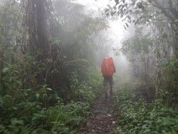 Jalan Panjang Menuju Puncak Gunung Argopuro