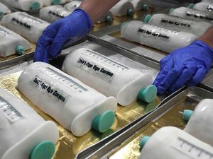 Sambut Vaksin Corona, Baker Ini Bikin Kue Bentuk Jarum Suntik