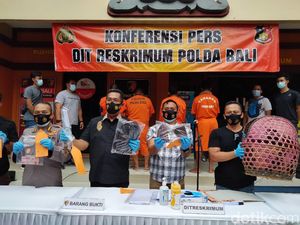 Sabung Ayam Saat Pandemi, 5 Warga Bali Dijerat UU Karantina Kesehatan