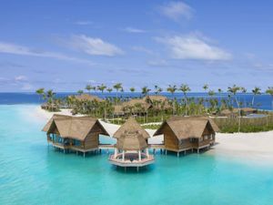 Sobat Kismin Minggir Dulu, Ini Hanya Dibeli Orang Super Tajir Sobat Kismin Minggir Dulu, Ini Hanya Dibeli Orang Super Tajir