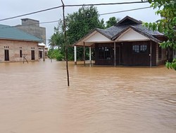 Banjir di Kalsel Rendam Jalan Lintas Provinsi