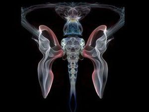 Tes Kepribadian: Gambar Kupu-kupu atau Ikan yang Pertama Kali Kamu Lihat?