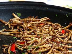 Ulat yang Kaya Protein Bakal Disajikan di Restoran Mewah Ulat yang Kaya Protein Bakal Disajikan di Restoran Mewah