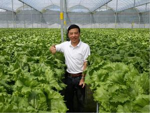 Kisah Bos Disc Tarra: Tutup Bisnis hingga Jadi Petani Sayur