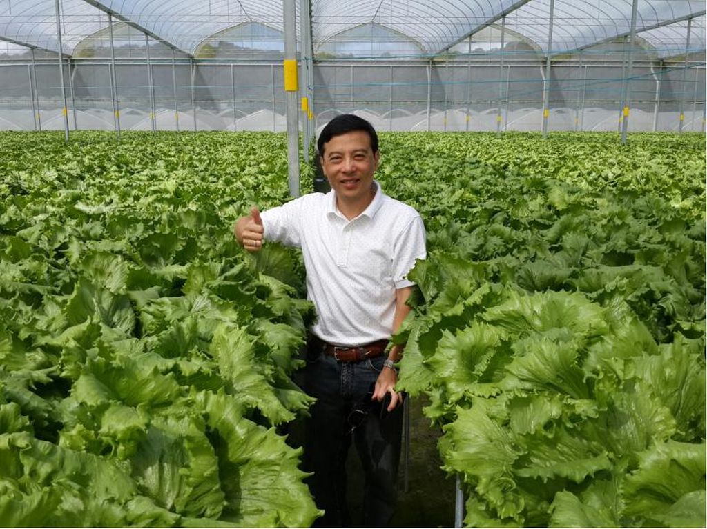 Perjalanan Eks Bos Disc Tarra: Tutup Bisnis, PHK hingga Jadi Petani Sayur Perjalanan Eks Bos Disc Tarra: Tutup Bisnis, PHK hingga Jadi Petani Sayur