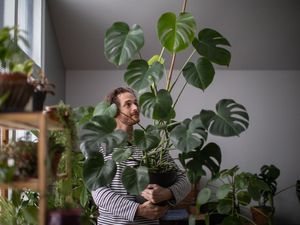 8 Cara Merawat Tanaman Hias Agar Tumbuh Subur dan Tak Layu