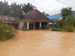 BNPB Sebut Penyebab Banjir Kalsel Perlu Kajian, Singgung Pengelolaan Sungai