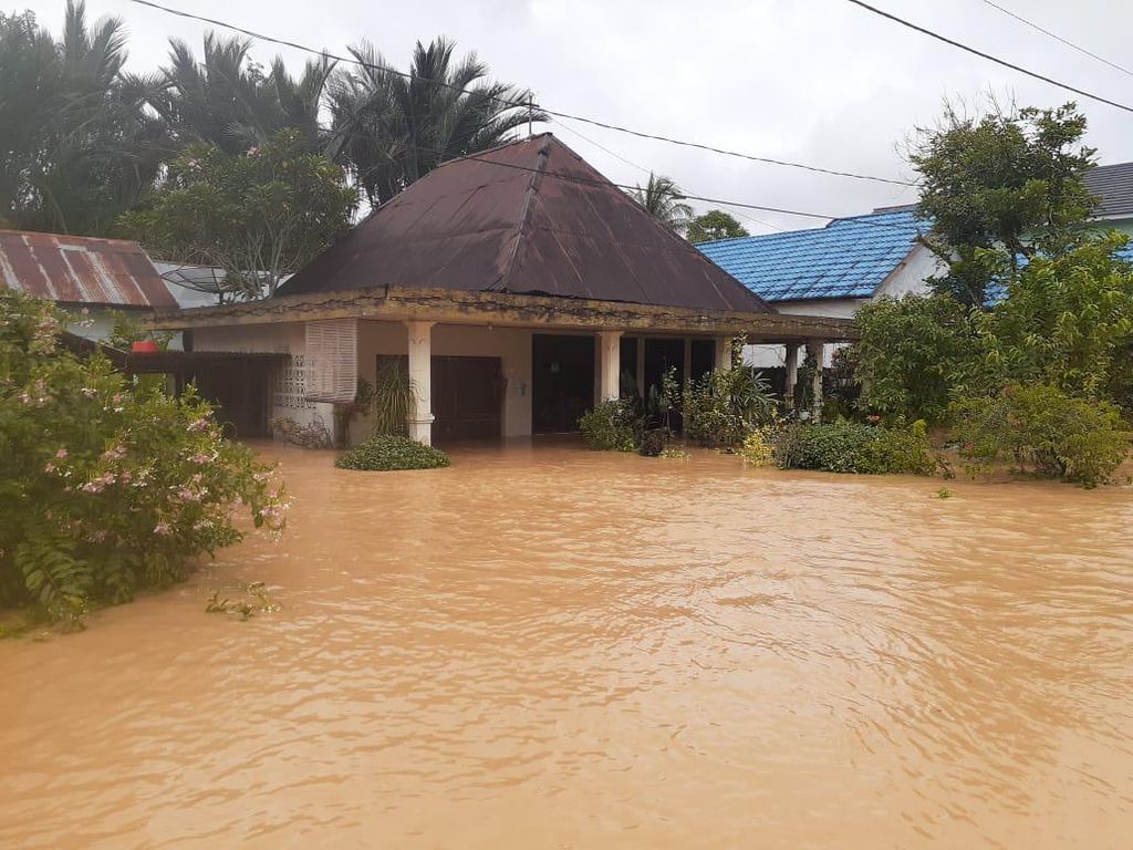 BNPB Sebut Penyebab Banjir Kalsel Perlu Kajian, Singgung Pengelolaan Sungai BNPB Sebut Penyebab Banjir Kalsel Perlu Kajian, Singgung Pengelolaan Sungai
