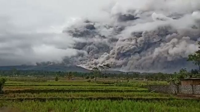 Gunung Semeru Masih Waspada, BNPB Imbau Tak Ada Aktivitas di Radius 1 Km Gunung Semeru Masih Waspada, BNPB Imbau Tak Ada Aktivitas di Radius 1 Km