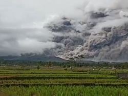 Gunung Semeru Masih Waspada, BNPB Imbau Tak Ada Aktivitas di Radius 1 Km