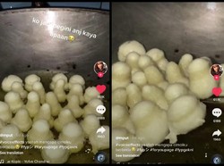 Netizen Ini Heran Cimol Buatannya Mirip Miniatur Candi Borobudur