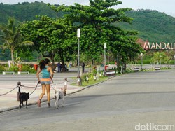 Pemerintah Pusat Larang Mudik 2021, Kadispar NTB Terima tapi Keberatan Juga