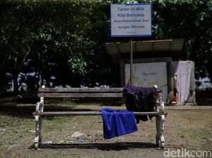 Taman Waduk Pluit Sudah Tak Terawat Didiamkan Pula Taman Waduk Pluit Sudah Tak Terawat Didiamkan Pula