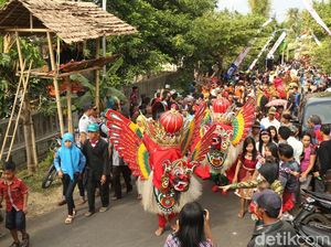 Barong Kemiren Selalu Ditarikan Pada Ritual Adat dan Hajatan