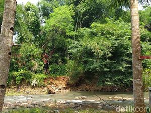 Foto Uji Nyali Seru di Ciamis, Naik Flying Fox di Atas Sungai