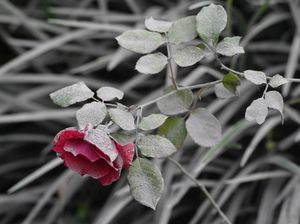 Debu Batuan Vulkanik Ternyata Ampuh dalam Menyerap CO2, Ini Kata Ilmuwan