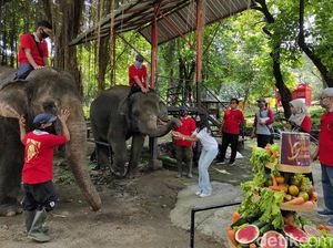 Manohara dan Dian Dapat Gunungan Buah